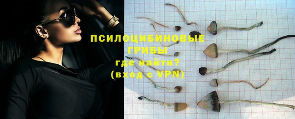 СК Абдулино